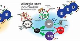 Image result for Allergen Immunotherapy