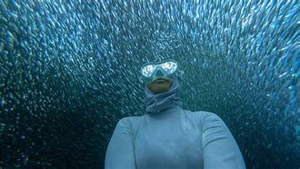Image result for iPhone Underwater Photography