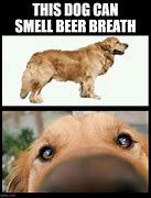 Image result for holding my beer dogs memes