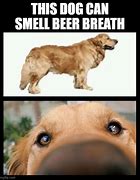 Image result for Dog Beer Meme