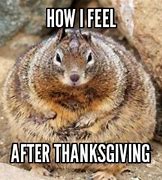 Image result for Day After Thanksgiving Quotes Funny