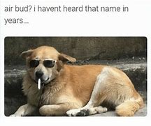 Image result for Air Pods Air Bud Meme