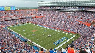 Image result for Florida Gators Football Stadium