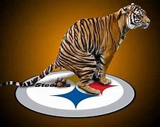 Image result for Funny Bengals KC