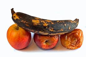 Image result for Rotten Fruit
