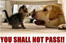 Image result for Thou Shall Not Pass Meme