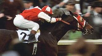 Image result for Seabiscuit Logo