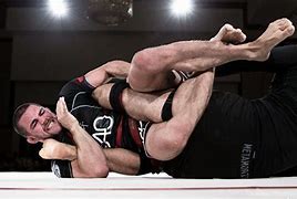 Image result for Jiu Jitsu Grapple