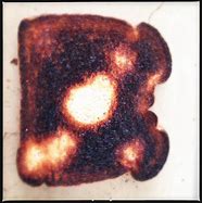 Image result for Burnt Toast Meme