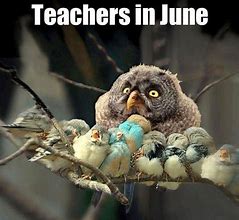 Image result for Teacher June Meme