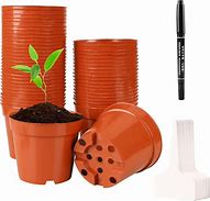 Image result for 10cm Plant Pot