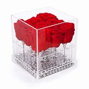 Image result for Forever Rose Lucite Box