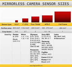 Image result for Mirrorless Sensor Size Comparison