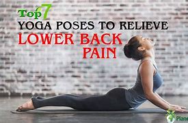 Image result for Yoga for Back Pain