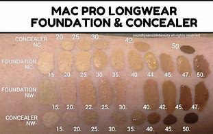 Image result for Mac Pro Longwear Concealer