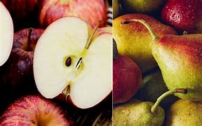Image result for Apple vs Pear PPT
