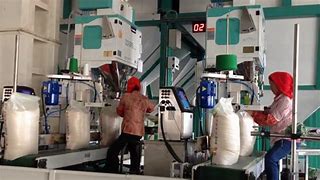 Image result for Rice Packing Machine