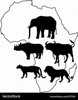 Image result for The Big 5 in Black and White