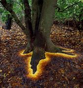 Image result for Andy Goldsworthy Land Art