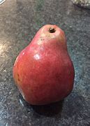 Image result for Small Fruit Looks Like a Apple