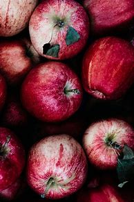 Image result for Fall Apples