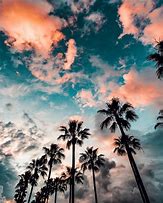 Image result for iPhone X Wallpaper Summer