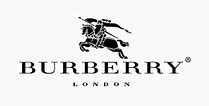 Image result for burberry bags