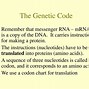 Image result for Gene vs DNA