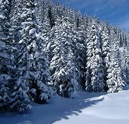Image result for TV Snow HD
