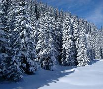 Image result for Winter Snow Night Wallpaper iPhone