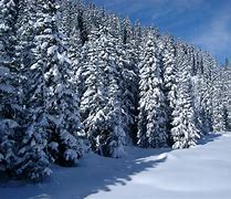 Image result for Snowy Picture Quality Issues TV