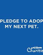 Image result for Animal House Pledge