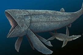 Image result for Biggest Fish Ever Lived