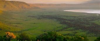 Image result for ngorongoro