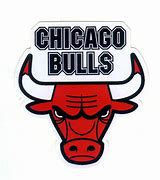 Image result for 7 Chicago Bulls