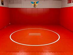 Image result for Wrestling Equipment