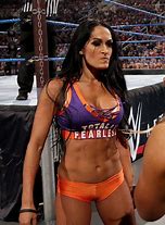 Image result for Nikki Bella WWE Orange