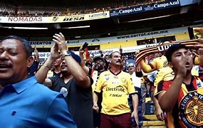 Image result for hincha