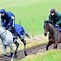 Image result for Race Horse Training