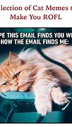 Image result for Email Cat Meme
