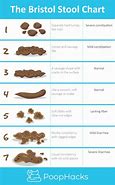 Image result for Stool Texture Chart