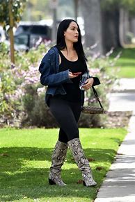Image result for Nikki Bella in Boots Photos