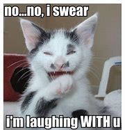 Image result for Kitten Laughing Meme Uranus