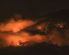Image result for Wildland Fire at Night