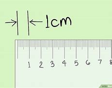Image result for What Does 150 Centimeters Look Like