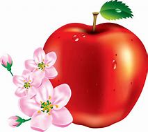 Image result for Red Apple Vector Png