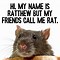 Image result for Rat in Hand Meme