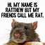 Image result for Post This Rat Meme