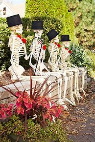 Image result for Funny Halloween Skeleton Poses