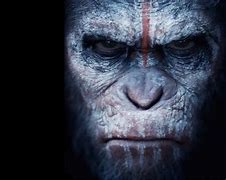 Image result for Planet of Apes Libertarian Meme